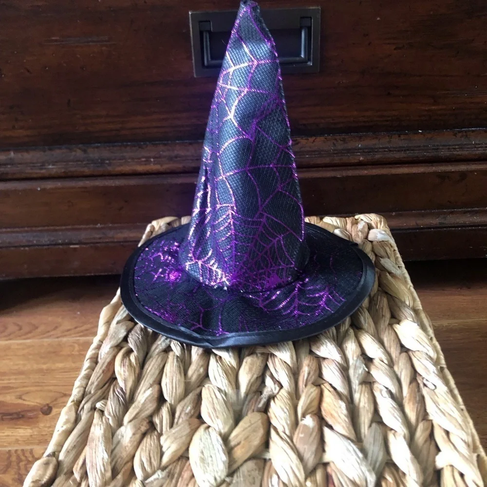 Martha Stewart purple Halloween witch costume for pets in size L/XL